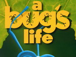 Luizenleven (A bug's life)