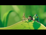 Luizenleven (A bug's life)