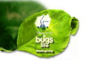Luizenleven (A bug's life)