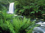 Hopetoun Falls, Otway Ranges