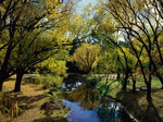 Morse's Creek