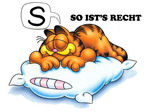 Garfield