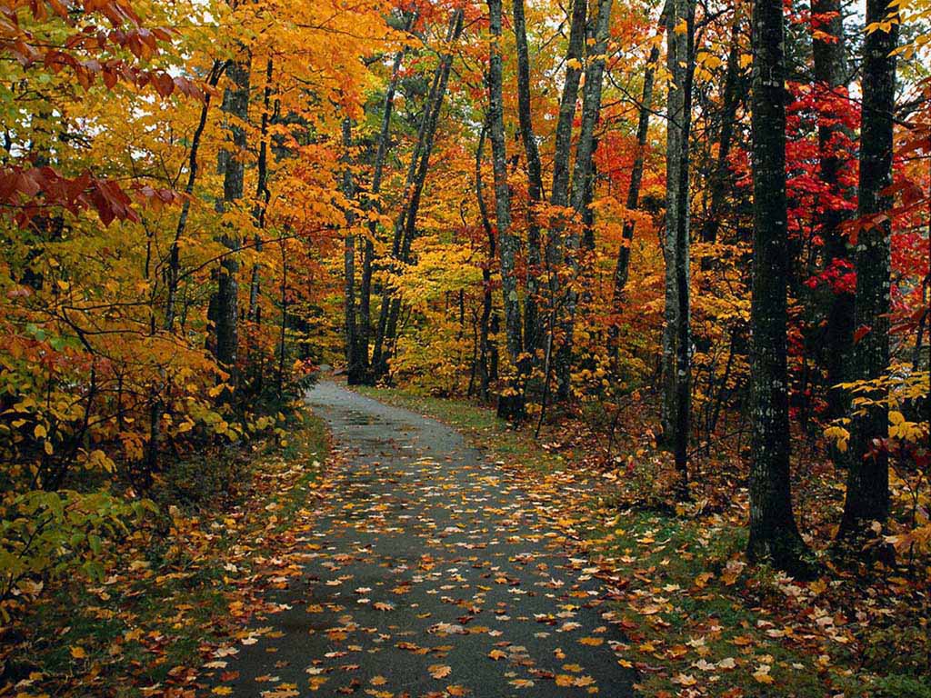herfst_02