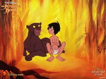 Bahgheera en Mowgli