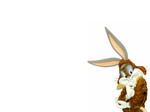 Looney Tunes