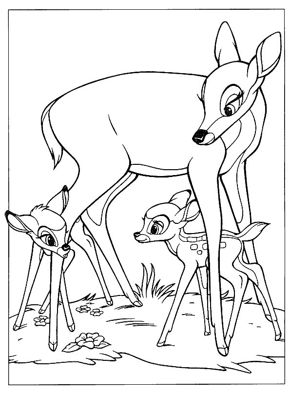 Bambi and feline