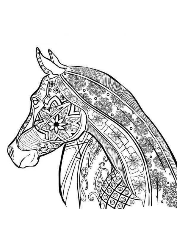magnificent creatures coloring book pages - photo #6