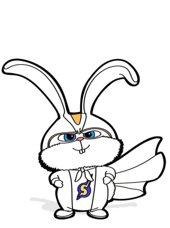 339 Cartoon Secret Life Of Pets 2 Snowball Coloring Pages for Adult