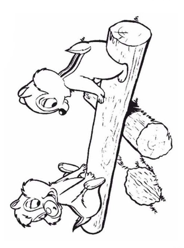 baby chip n dale coloring pages - photo #20