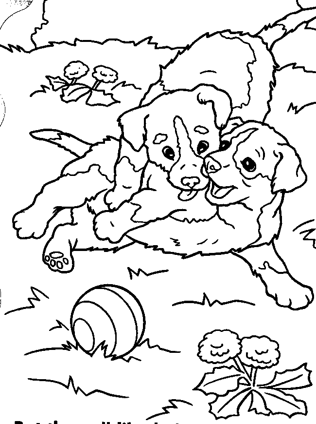 Kleurplaten Honden Kleurplaten Honden Puppies Kleurplaat Hond Gratis Images and Photos finder