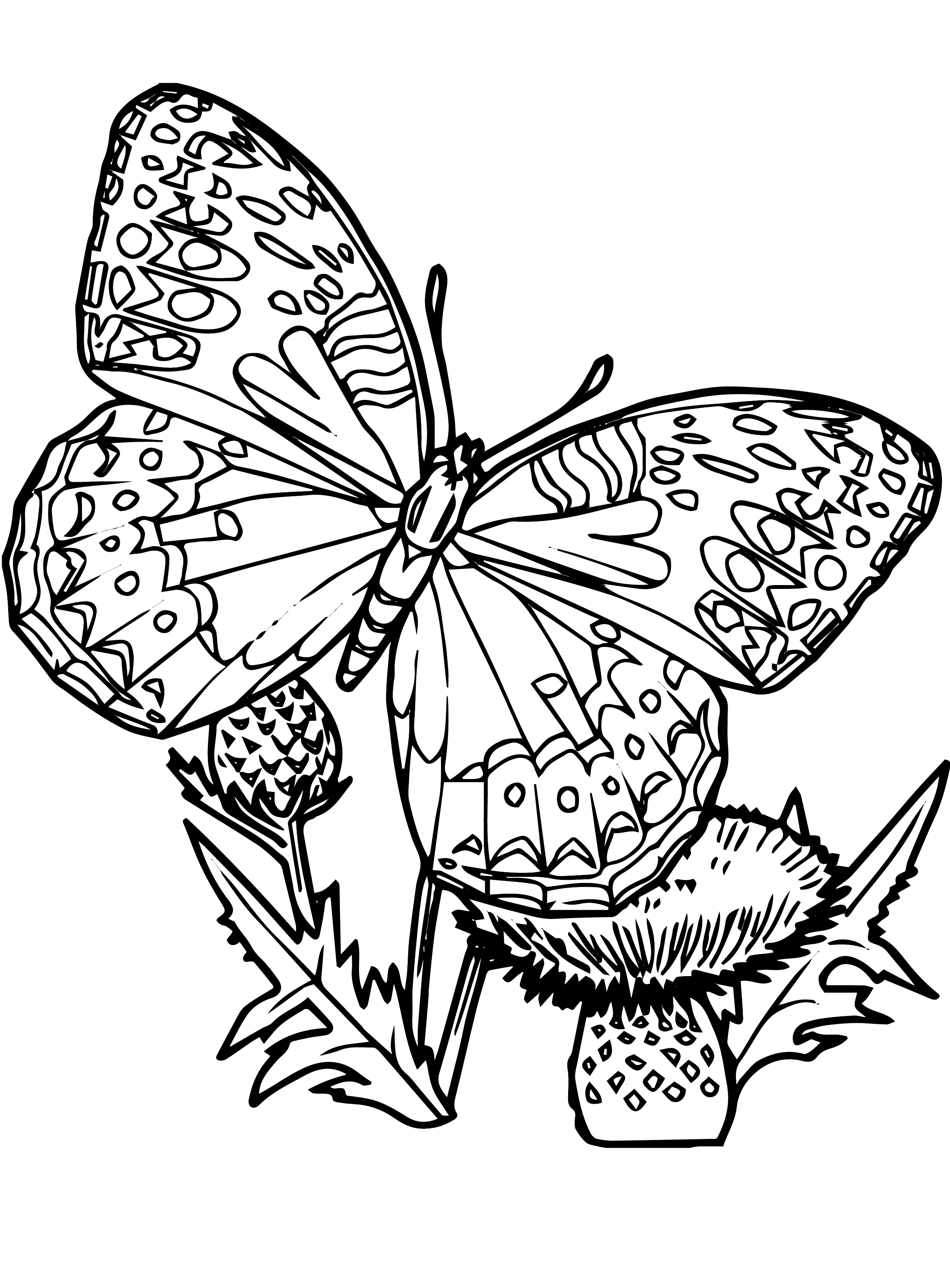 Free Printable Butterfly Colouring Sheets