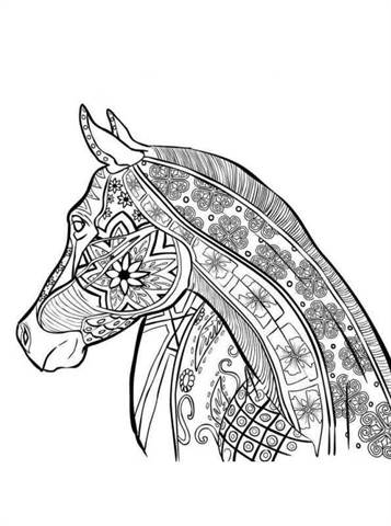 coloring pages to print - Google Search  Dieren kleurplaten, Kleurplaten,  Kleurplaten voor volwassenen